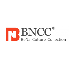 BNCC 